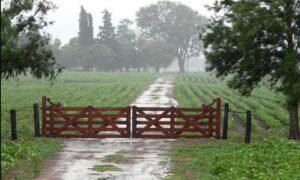 Lluvia-campo
