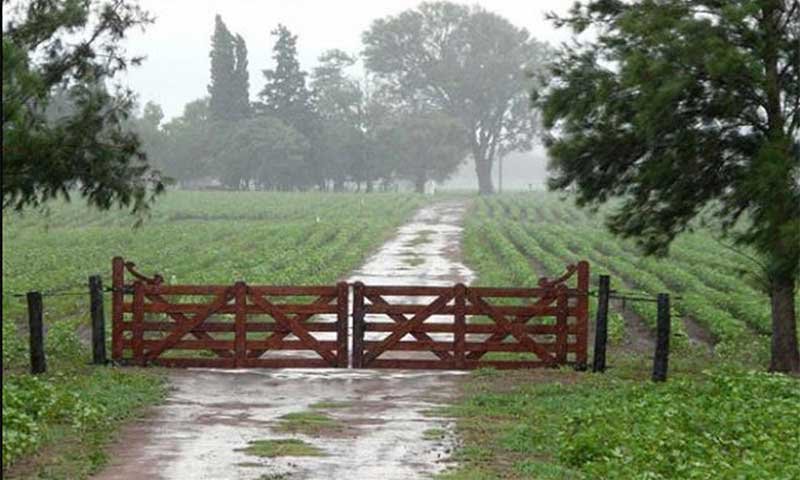 Lluvia-campo