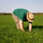 Nutrición de precisión en el campo